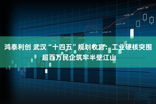 鸿泰利创 武汉“十四五”规划收官：工业硬核突围 超百万民企筑牢半壁江山