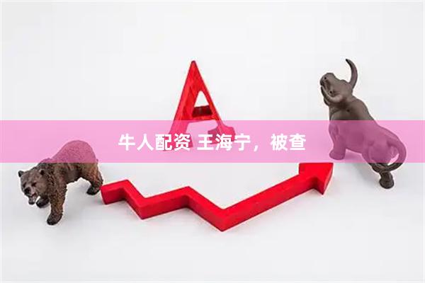 牛人配资 王海宁，被查