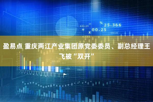 盈易点 重庆两江产业集团原党委委员、副总经理王飞被“双开”