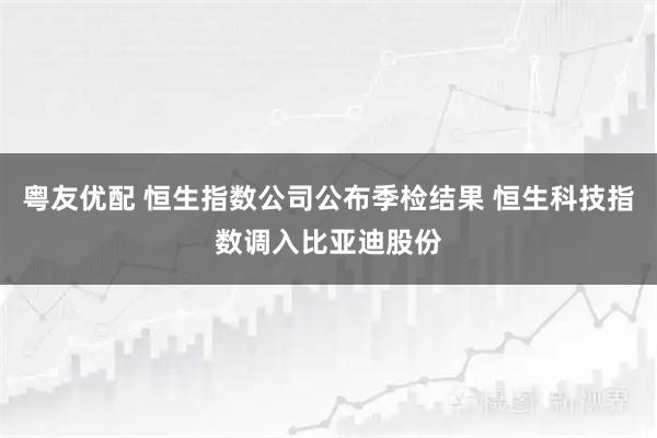 粤友优配 恒生指数公司公布季检结果 恒生科技指数调入比亚迪股份