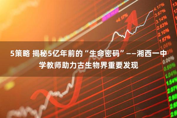 5策略 揭秘5亿年前的“生命密码”——湘西一中学教师助力古生物界重要发现