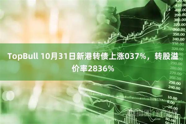 TopBull 10月31日新港转债上涨037%，转股溢价率2836%