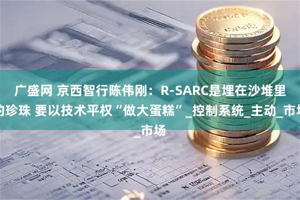 广盛网 京西智行陈伟刚：R-SARC是埋在沙堆里的珍珠 要以技术平权“做大蛋糕”_控制系统_主动_市场