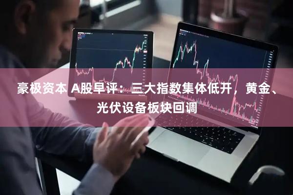 豪极资本 A股早评：三大指数集体低开，黄金、光伏设备板块回调