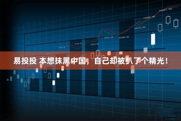 易投投 本想抹黑中国，自己却被扒了个精光！
